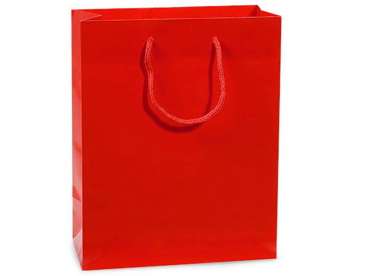 Sac cadeau matt poignées torsadées 210g/m²
