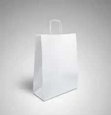 Sac kraft blanc à poignées torsadées 120g/m² W18xH22xD8