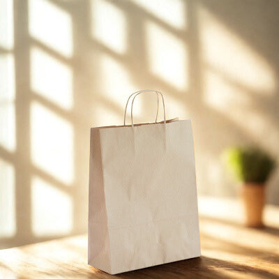 Sac kraft brun à poignées torsadées 100g/m²